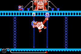 Donkey Kong Jr.