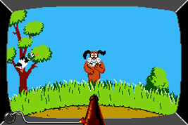 Duck Hunt