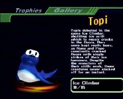 Topi the seal