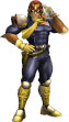 Captain Falcon