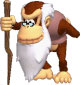 Cranky Kong