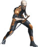 Gray Fox