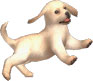 Nintendog