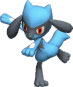 Riolu