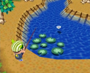 Animal Crossing