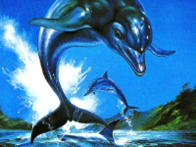 Ecco the Dolphin